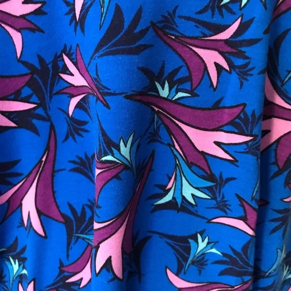 XXS LuLaRoe Maxi skirt/dress - Picture 2 of 2